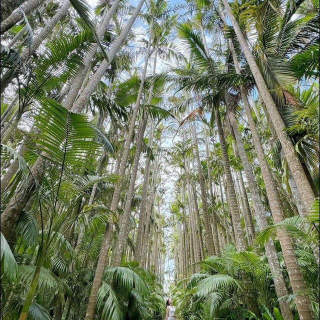  沖繩必去💗東南植物樂園