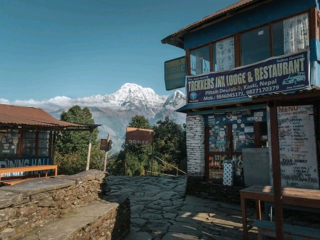 Day 2 Mardi Himal (Pitan Deurali-Low Camp) 