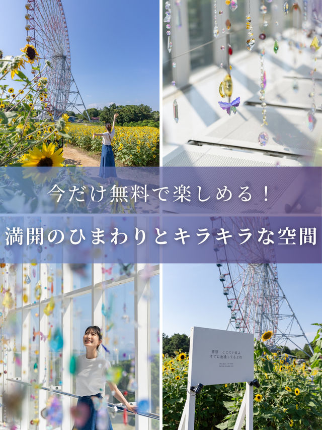 【東京都/葛西臨海公園】今だけ無料で楽しめるひまわり畑とキラキラの世界
