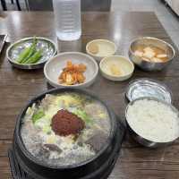 제주여행 만렙이 뚜벅이로 제주여행하는 법🥰