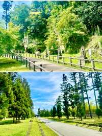 【日本東北】松島瑞嚴寺：莊嚴肅穆的三十三尊觀音像