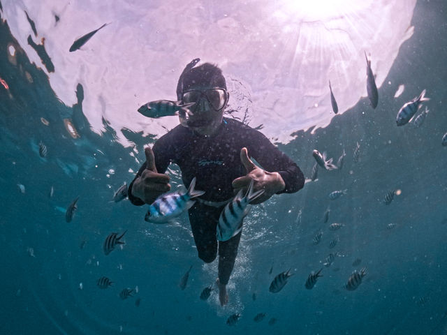 รีวิว ดำน้ำตื้นที่เกาะทะลุ 🏊🏽(ระยอง)