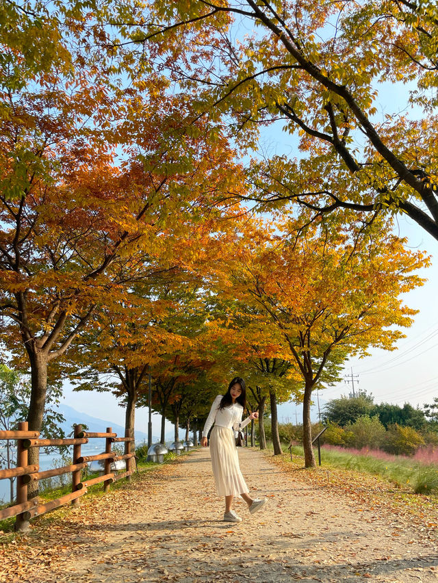 산책하기 좋은 미사경정공원🌳