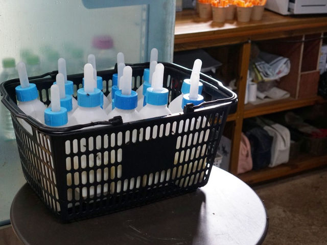 고창 가족여행으로 가기 좋은 상하농원