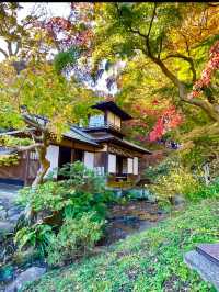 〜神奈川県〜10の重要文化財が集まる日本文化スポット！