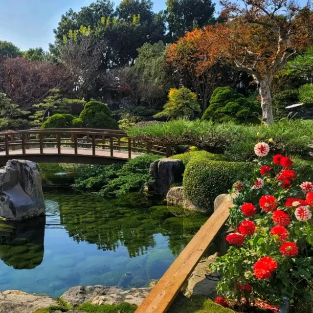 【彰化】成美文化園日式庭園，和諧寧靜，#8月好去處2024