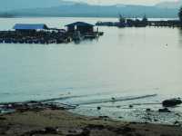 สะพานรักสารสิน