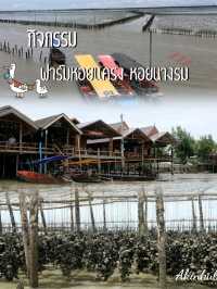 กิจกรรมชมหอยนางรม หอยแครง