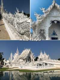 Ultimate Guide to Chiang Rai, Thailand 🇹🇭