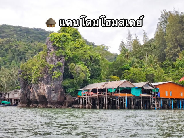 🛖 แดนโดมโฮมสเตย์ 