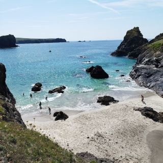 Where turquoise waters meet rugged cliffs – uncover the hidden gem of Cornwall at Kynance Cove