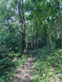 พิกัดเดินป่า ทางเข้าไปชมน้ำตก อุทยานภูผายล สกลนคร