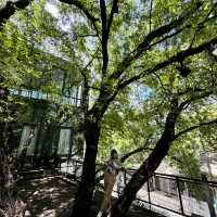 Rawr Cafe: ป่ากลางเมือง สุขุมวิทที่ไม่ควรพลาด