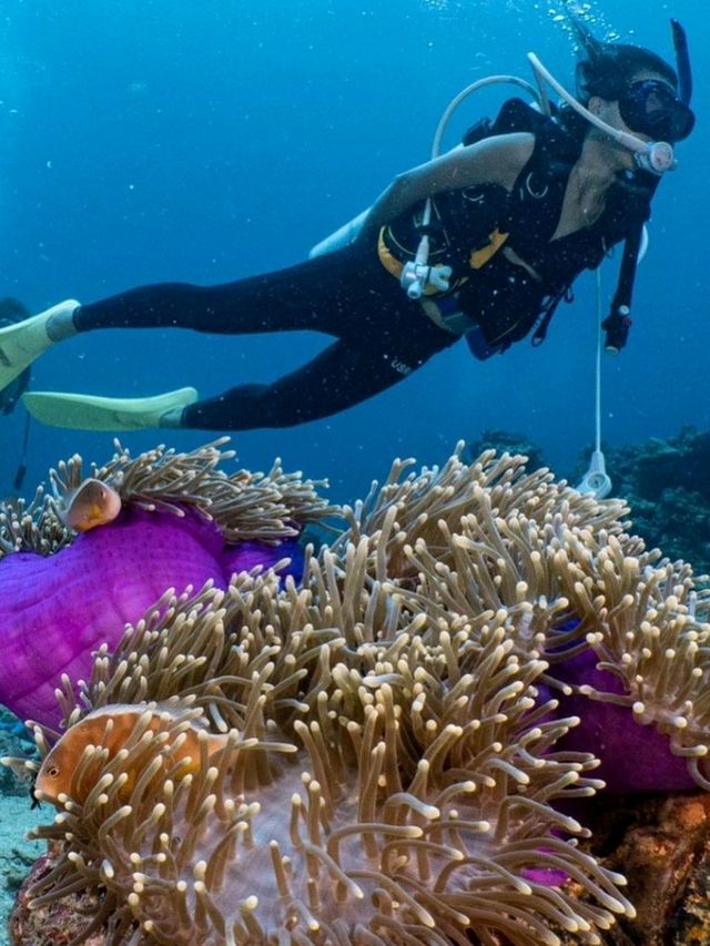 **🌊 Dive into Paradise: Scuba Diving in Phi Phi Island 🇹🇭**