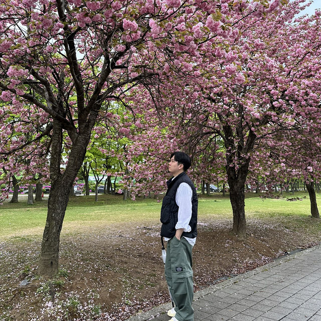 예쁜 꽃과 산책을 즐길수 있는 미사경정공원🌸