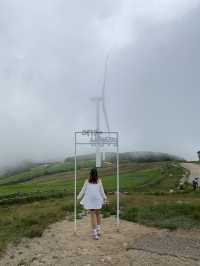 조금 특별한 데이트 여행을 찾는다면 양몰이공연 볼 수 있는 삼양라운드힐 어때?!