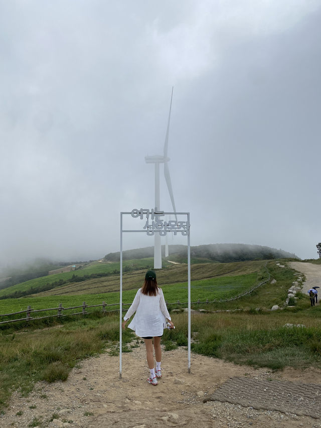 조금 특별한 데이트 여행을 찾는다면 양몰이공연 볼 수 있는 삼양라운드힐 어때?!