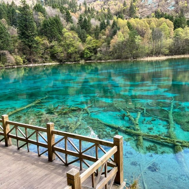 Jiuzhai Valley National Park