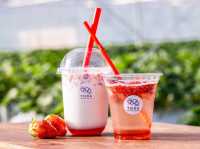 TODA Berry Farm