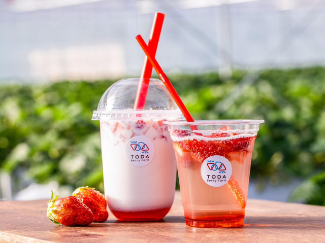 TODA Berry Farm
