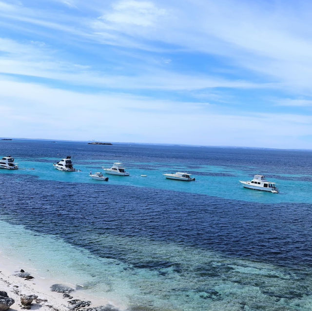 An Island Paradise