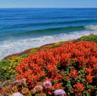 The Hidden Beaches of Big Sur, California
