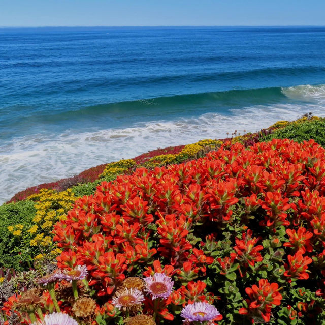 The Hidden Beaches of Big Sur, California