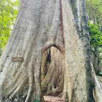 วัดเขาบรรจบ