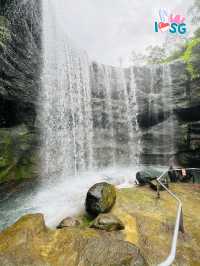 🇸🇬 Bird Paradise also have waterfall