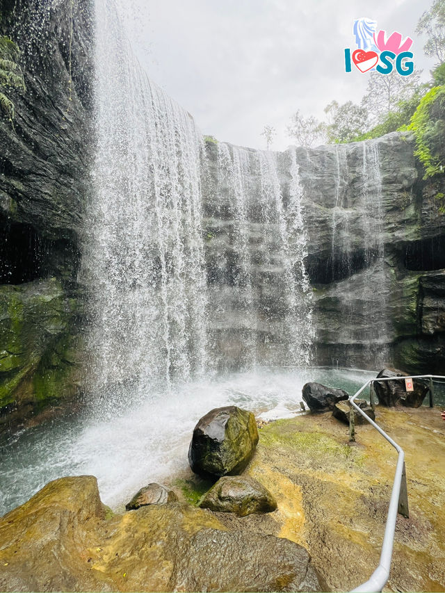 🇸🇬 Bird Paradise also have waterfall