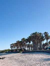 제주 🌴🌴서해의 아침이 바다가 더 맑더라구요~ 
