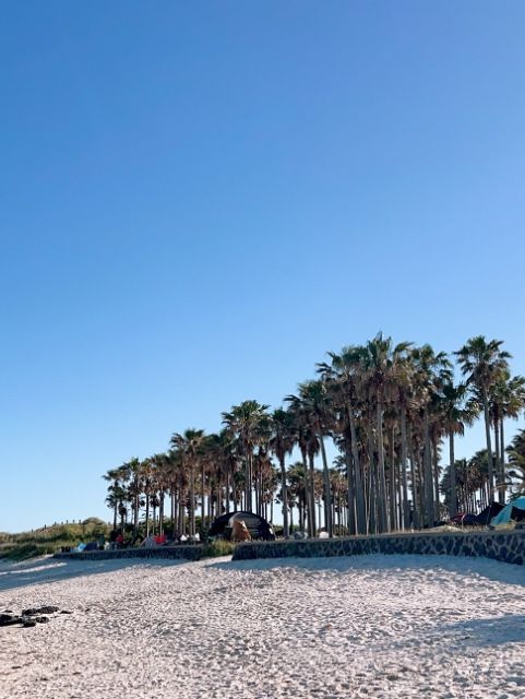 제주 🌴🌴서해의 아침이 바다가 더 맑더라구요~ 