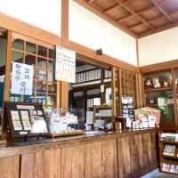 日本ㅣ東京ㅣ豪德寺ㅣ達願千貓神社/招財貓史祖