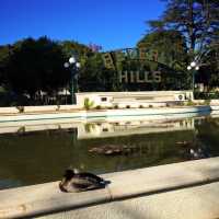 "Exploring Beverly Hills: The Pinnacle of Luxury and Elegance"