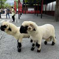 Wonderful time at Zhang Mei Ama Farm