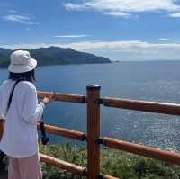 【シャコタンブルー】北海道/神威岬