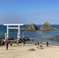 踏上一段靈性之旅，在夫婦岩與白色鳥居共同啟程⛩️🌊💫