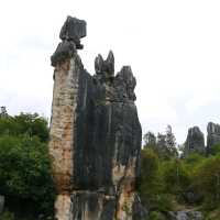 Yunnan Stone Forest