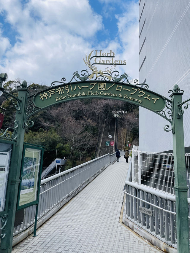 【兵庫県】観光周遊バス『ループバス』で神戸観光！