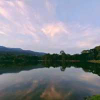 清邁大學與後門夜市