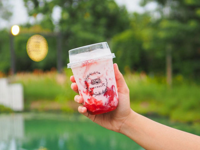 ปานชีวาคาเฟ่