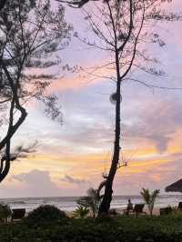 富國島最具風情的渡假村Ocean bay 🫶🫶