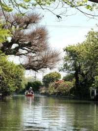 福岡｜柳川遊船特色體驗 🚣🚣