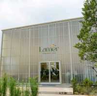 Lamer Homecraft Cafe คาเฟ่วิวทุ่งนา