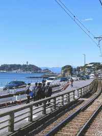 Kamakura เมืองน่ารักไม่ไกลจากโตเกียว!!