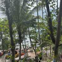 เที่ยวคาเฟ่เสื่อผืนหมอนใบ ณ ภูเก็ต