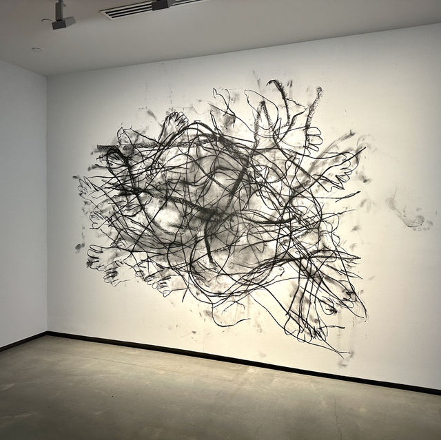 【オーストラリア/シドニー】シドニーの現代美術博物館で最先端アートを体感