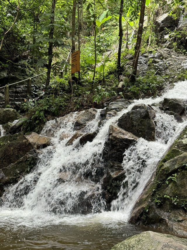 น้ำตกแม่กำปอง | จ.เชียงใหม่ 🪨💦🌿🌳
