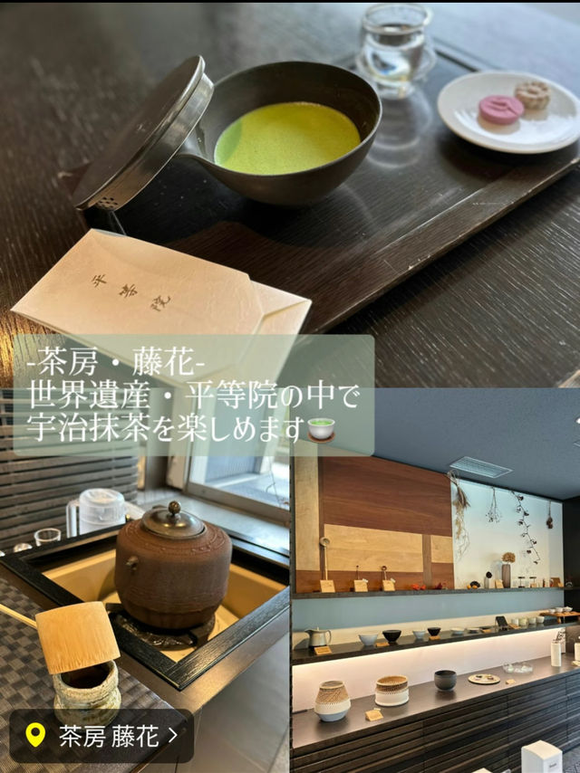 〜京都府〜ロスなし！サクッと巡れる京都宇治旅プラン！