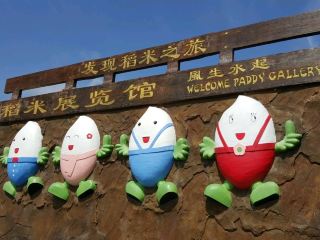 在適耕莊稻米博物館學習稻米的故事